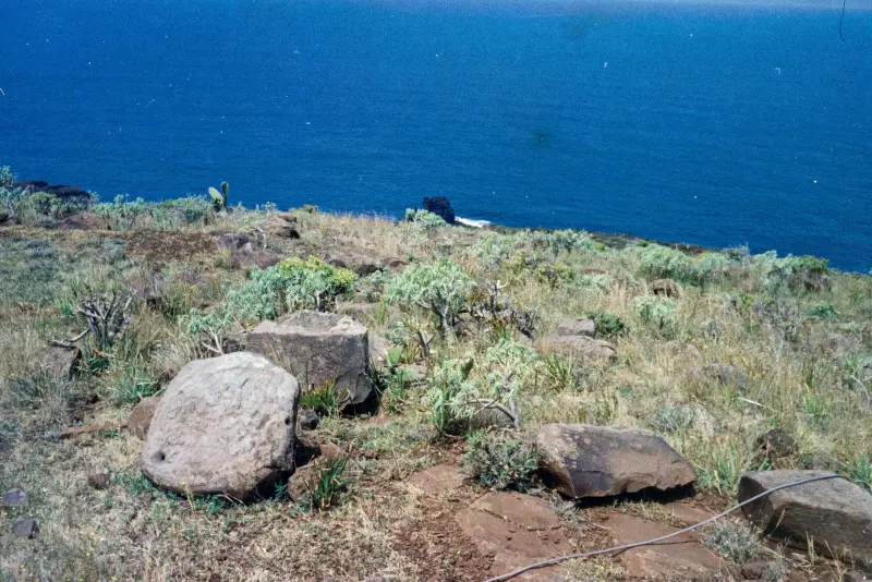 Grabados rupestres de Santo Domingo de Garafía